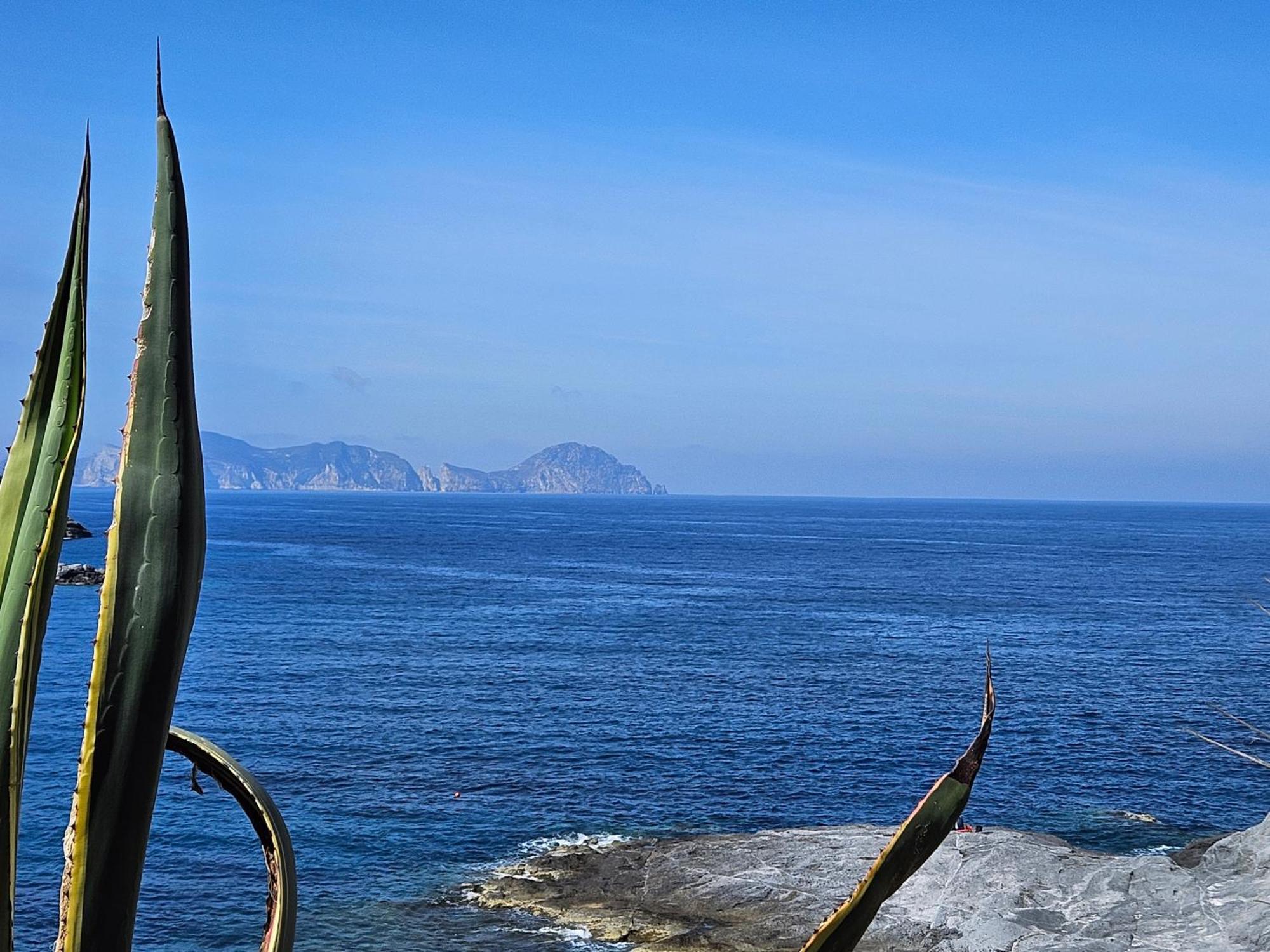 Maridea - La Caletta - Luxury Villa Ponza Exteriör bild